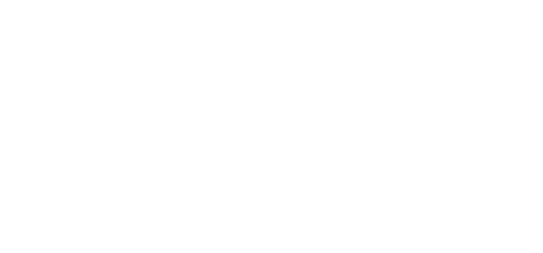 CAI Logo for desktop